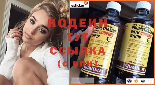 МДПВ Абаза