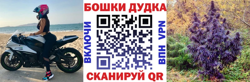 как найти   Ессентукская  Конопля MAZAR 